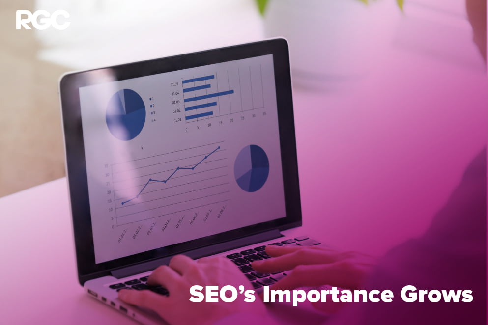 SEO’s Importance Grows